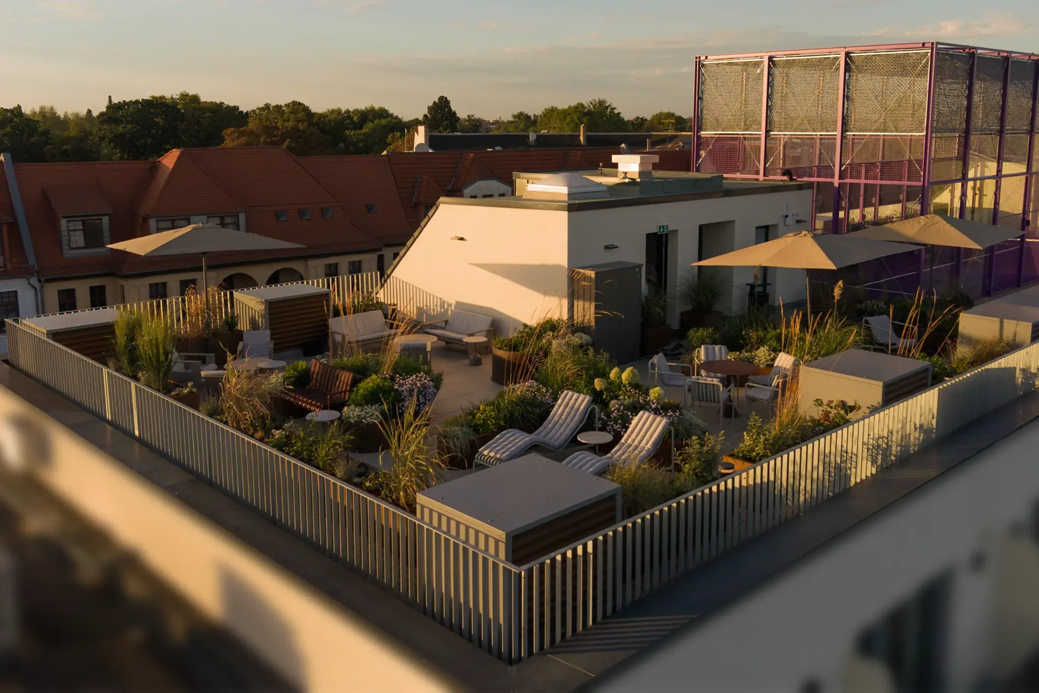 Rooftop Sunset lunge United Living